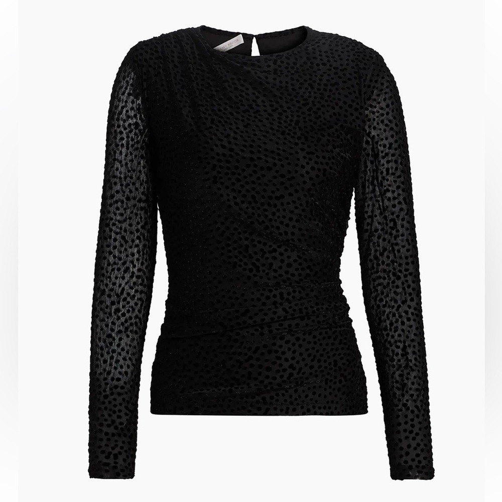 Ramy Brook Mesh Polka Dot Blouse Larry Velvet Burnout 
Fitted Sheer Velvet Top